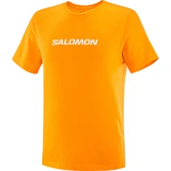 Men's Salomon Logo Performance T-Shirt -Columbia Store 0002 LC2245700 0 GHO sallogoperfsstee zinnia sportswear m