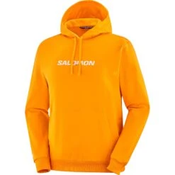 Men's Salomon Logo Performance Hoody 11 Men's Salomon Logo Performance Hoody -Columbia Store 0002 LC2246700 0 GHO sallogoperfhoodie zinnia sportswear m