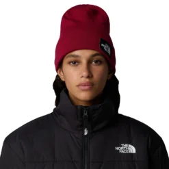 The North Face Unisex Dock Worker Recycled Beanie -Columbia Store 0005 3FNT 1IX ALT13