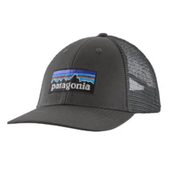 Patagonia P-6 Logo LoPro Trucker Hat -Columbia Store 0008 WBS20 38283 FGE