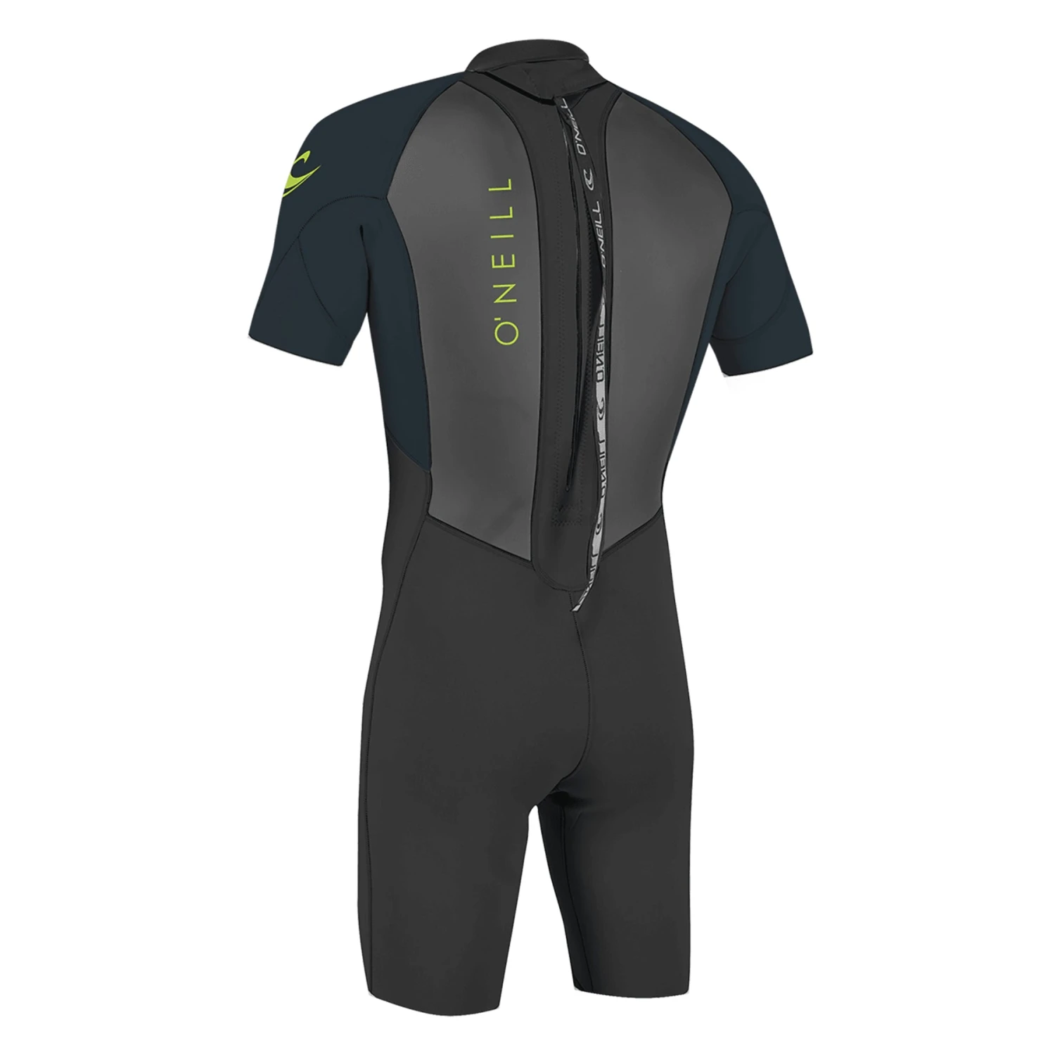Youth Reactor II 2mm Short Sleeve Back Zip Spring Wetsuit 6 Youth Reactor II 2mm Short Sleeve Back Zip Spring Wetsuit - Image 4