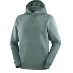 Men's Salomon Big Logo Hoodie -Columbia Store LC2525300 0 GHO salomonbiglogohoodie northatlantic sportswear m.png.cq5dam.web .1200.1200